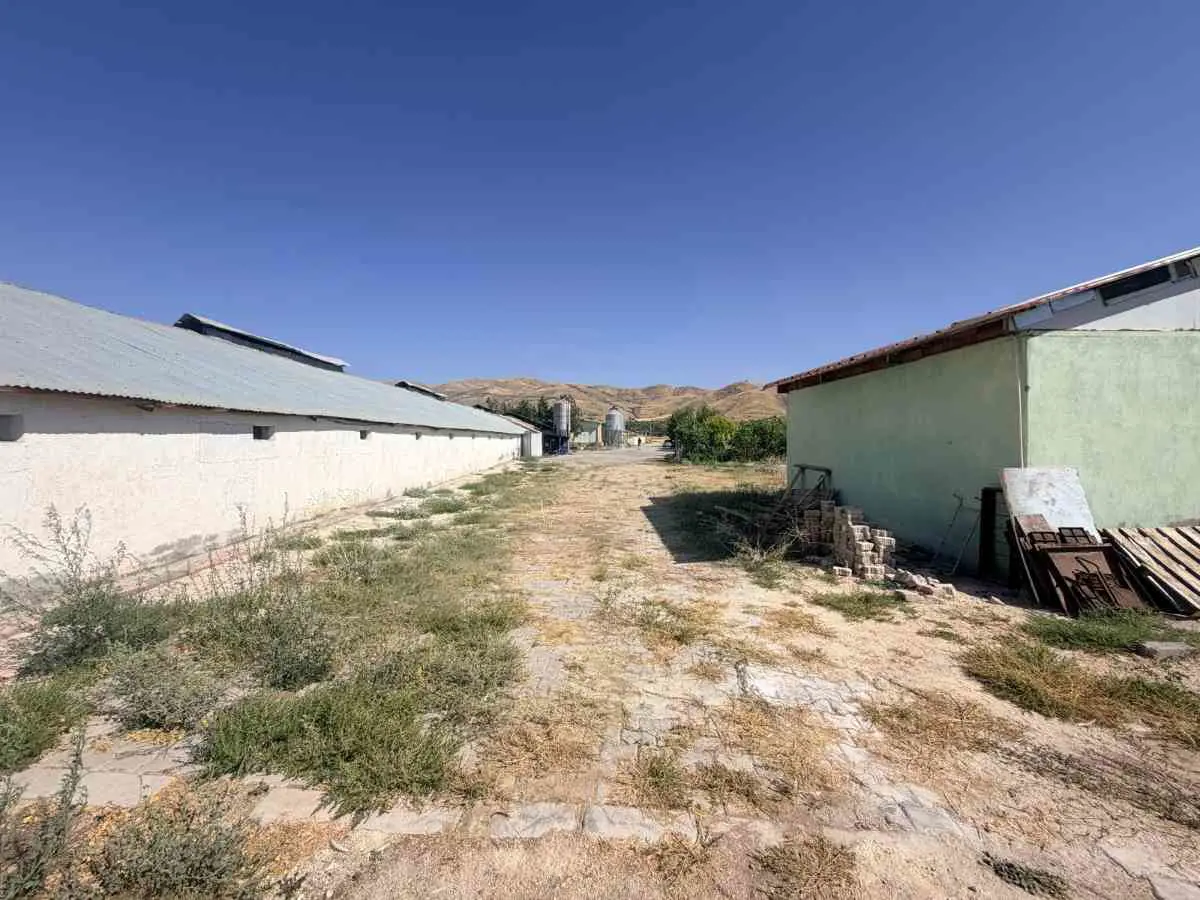 Property image 21