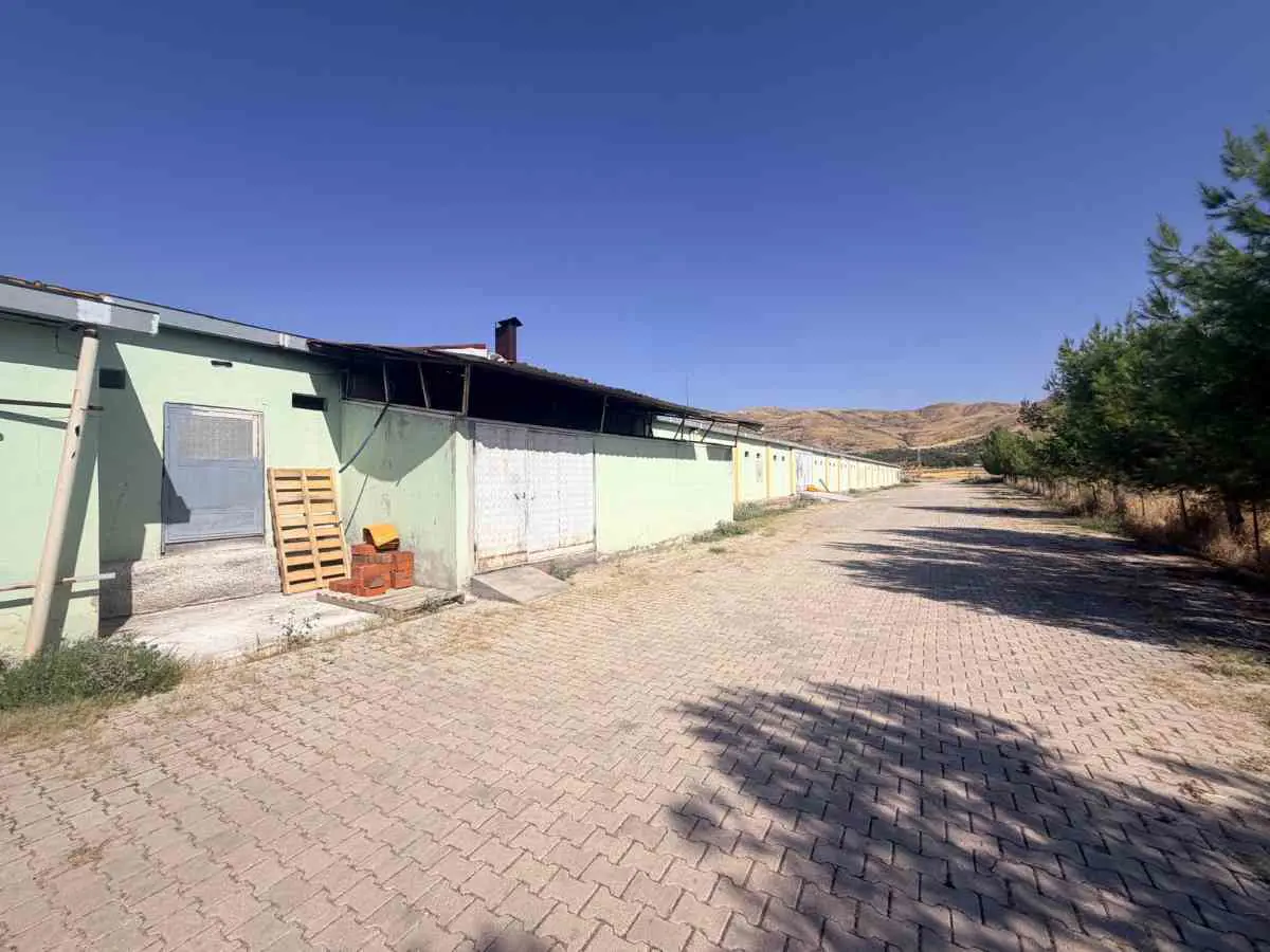 Property image 27