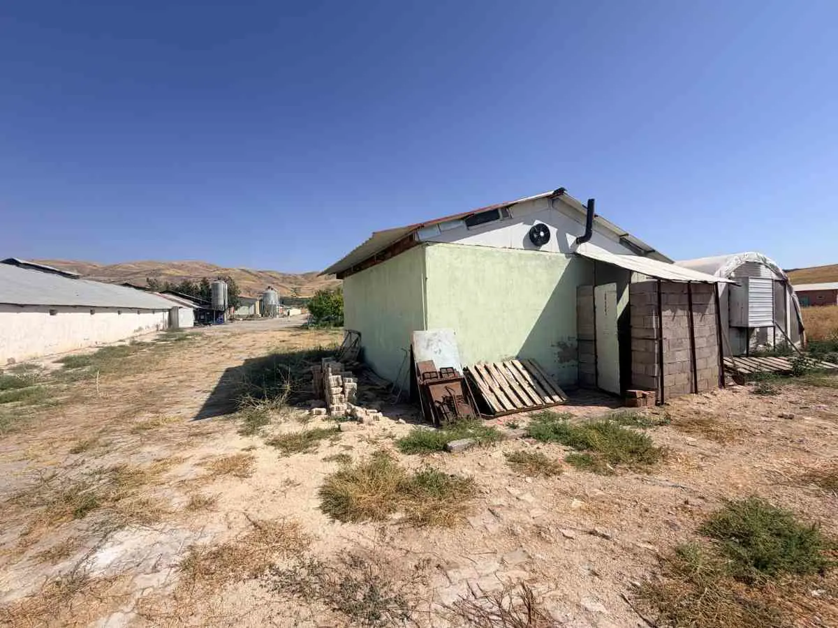 Property image 22