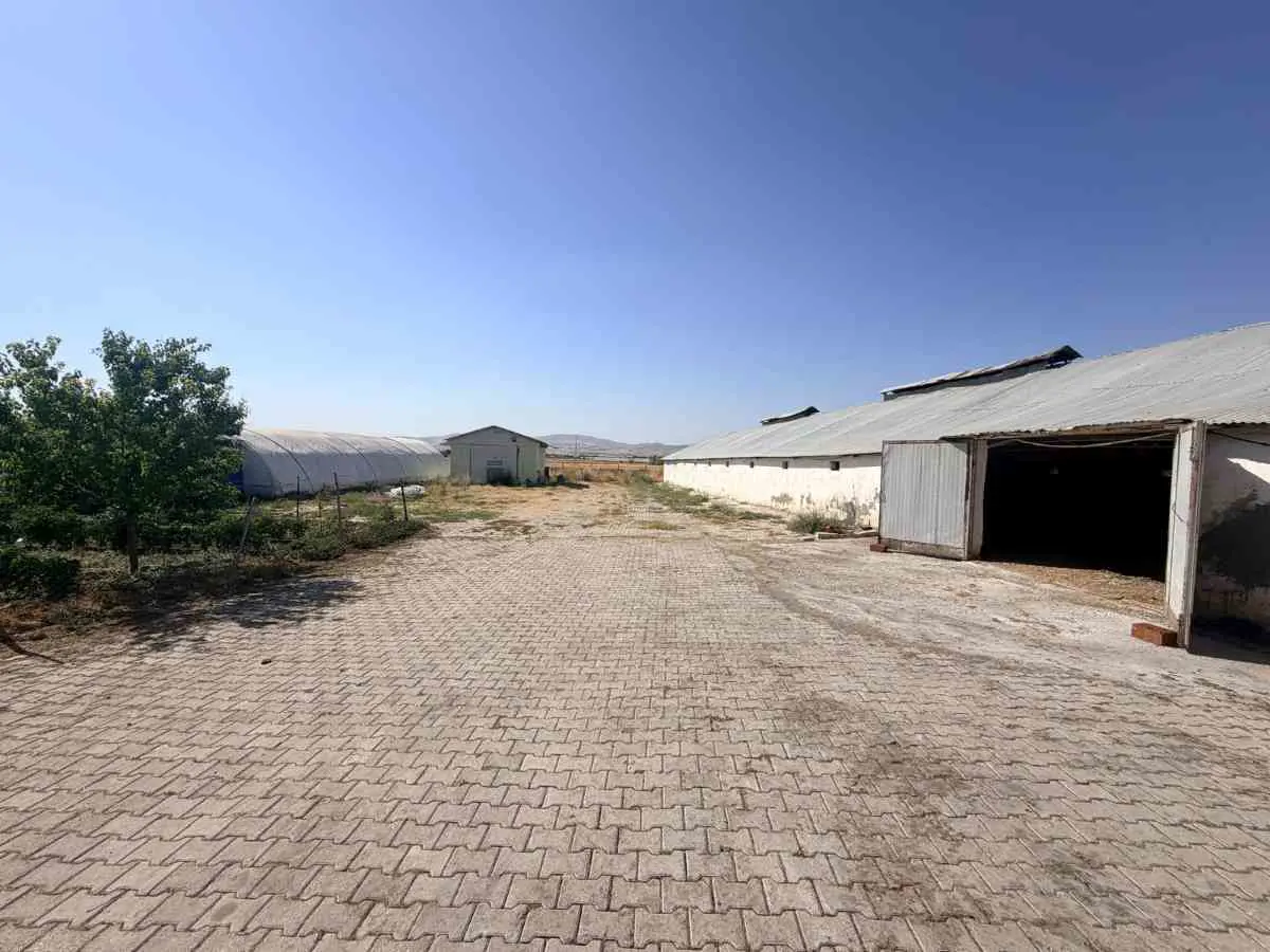 Property image 26