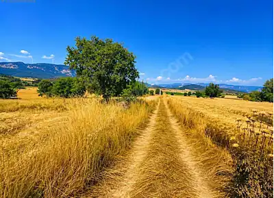 REMAX DREAM DEN BİLECİK GÖLPAZARI KARAAĞAÇ KÖYÜ