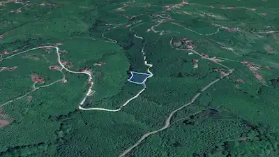 PERŞEMBE NENELİ'DE KADASTRAL YOLU OLAN, TEK TAPULU ARAZİ