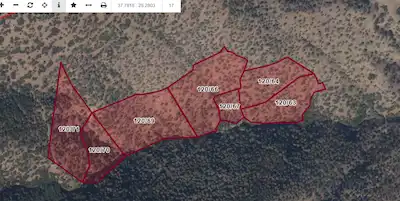 AYDIN BOZDOĞAN OSMANIYE'DE 71.000M² SATILIK ZEYTIN BAHÇESI TAMAMI SATILIK