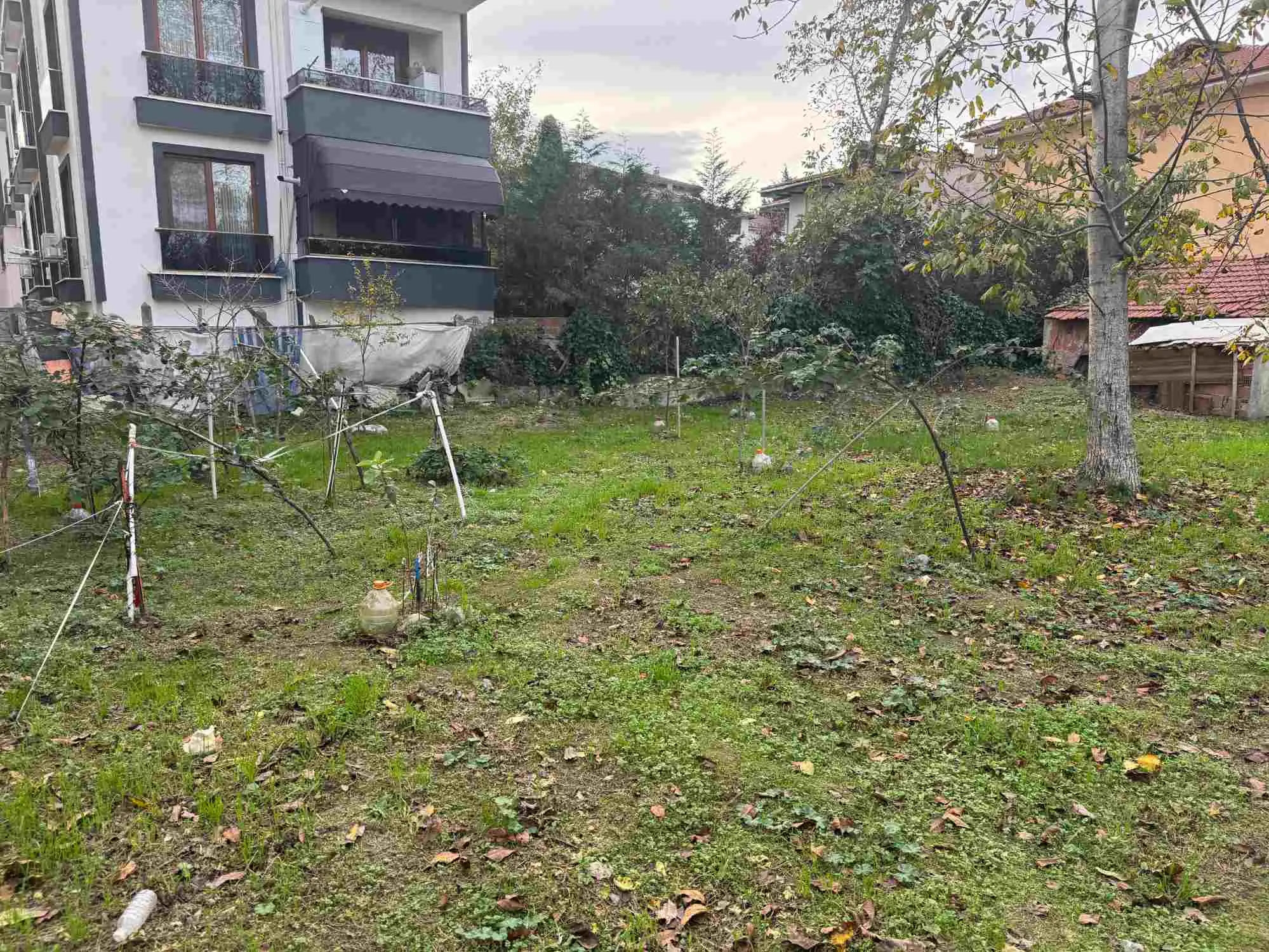 Property image 17