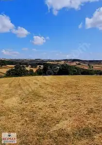 REMAX'TAN SAKARYA AŞIRLAR'DA SATILIK 426 M2 MÜSTAKIL TARLA