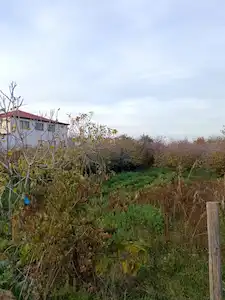 KÜÇÜK KARASU MAHALLESİNDE SATILIK ARSA