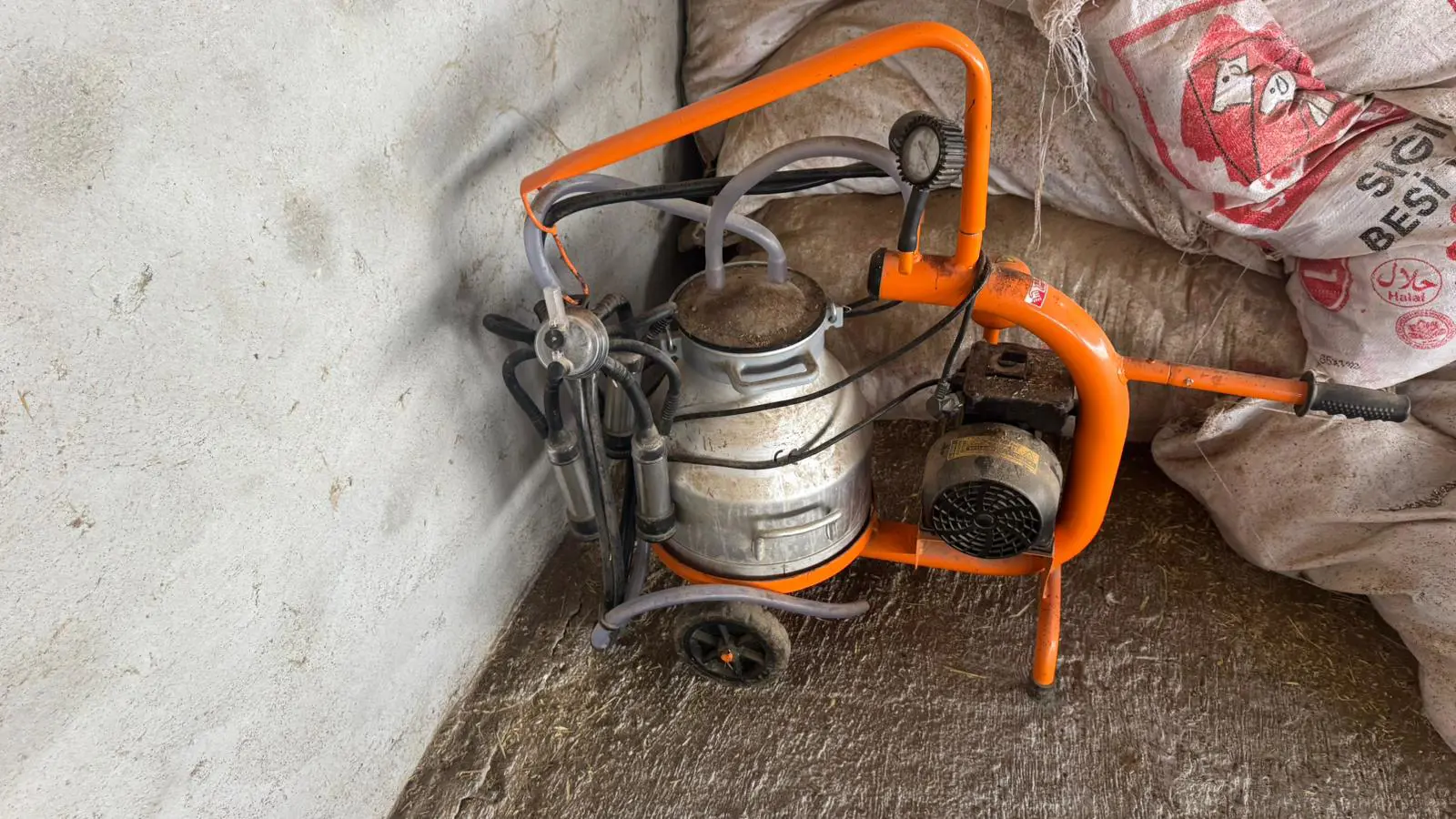Property image 21