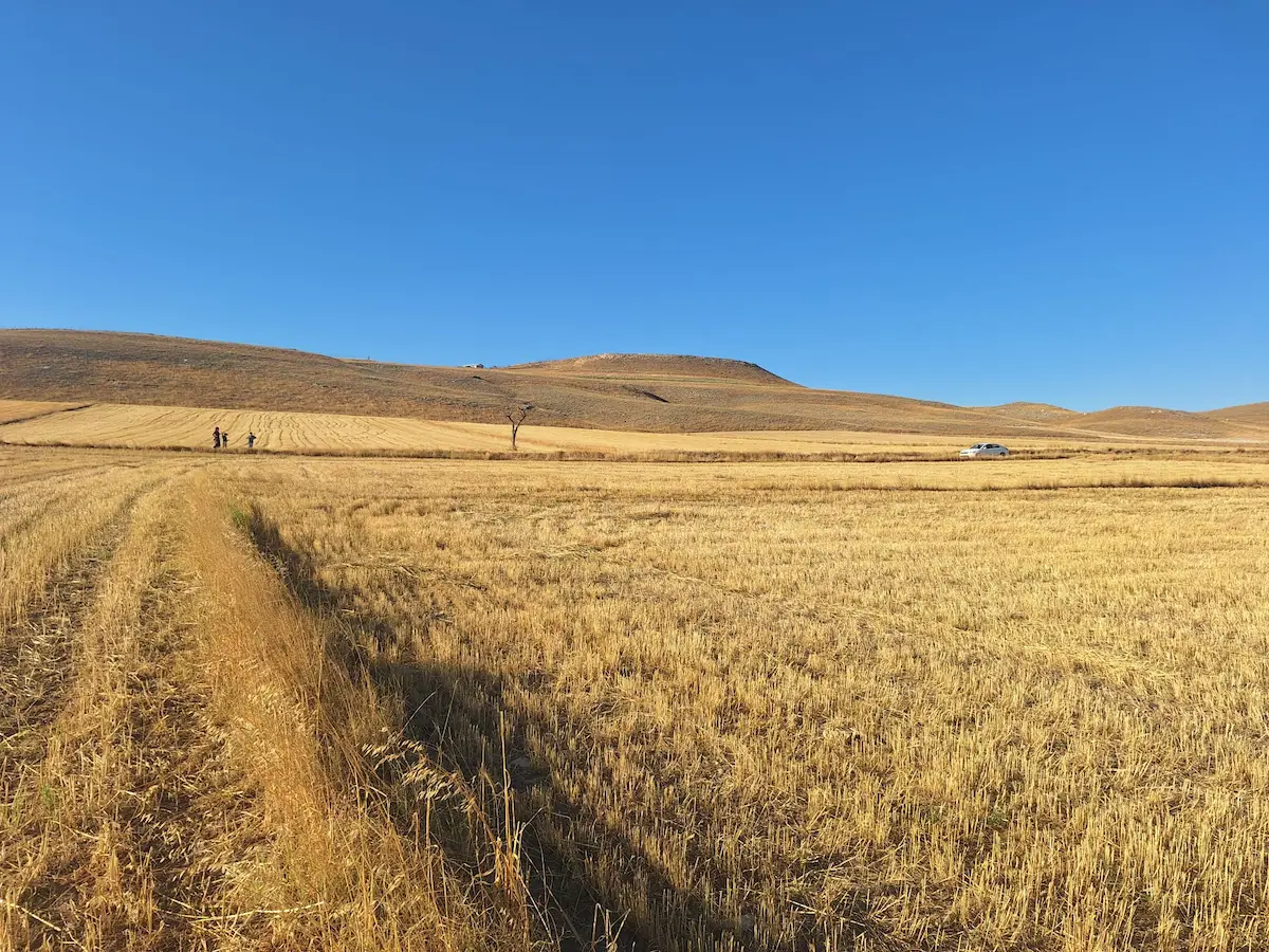 AFYONKARAHİSAR SİNANPAŞA 3700 M² TARLA | DEPO, OFİS VE GES YATIRIMINA UYGUN