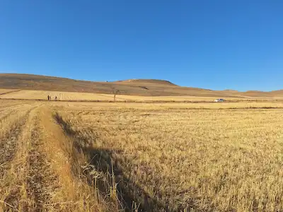 AFYONKARAHİSAR SİNANPAŞA 3700 M² TARLA | DEPO, OFİS VE GES YATIRIMINA UYGUN