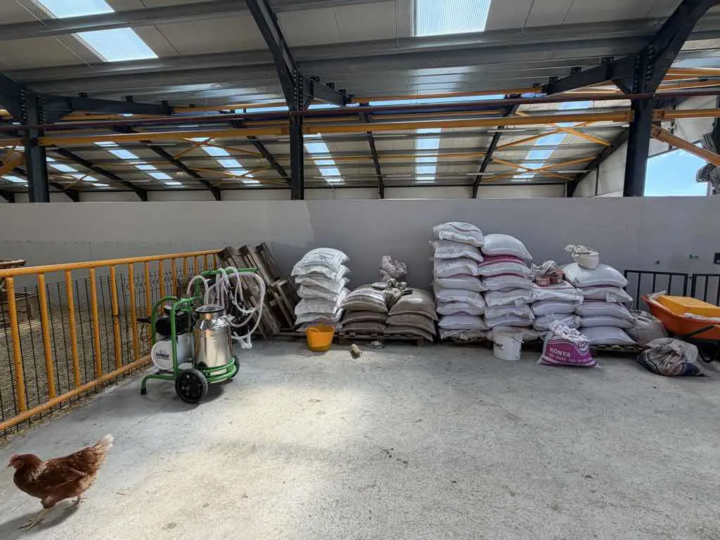 Property image 11