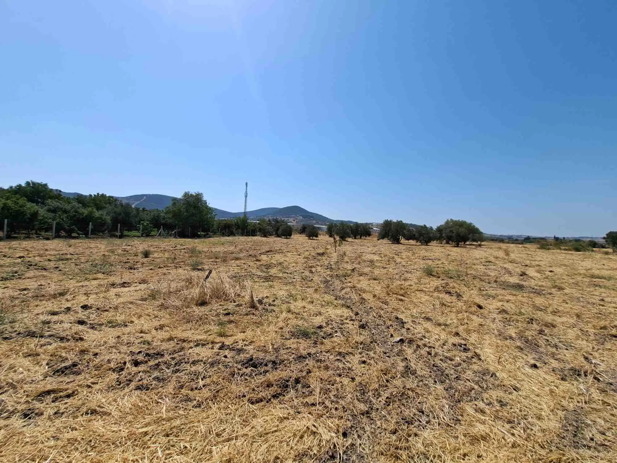 Property image 38