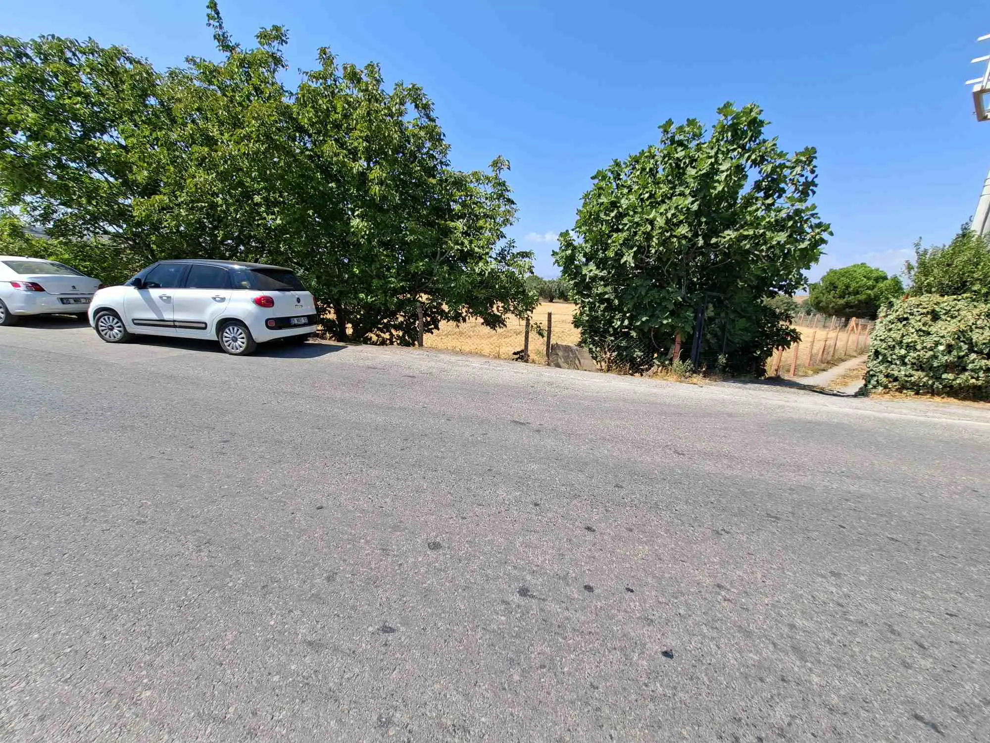 Property image 39