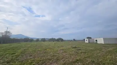 ALİAĞA GÜZELHİSAR’DA KADASTRAL YOLLU, TAKASA AÇIK HİSSELİ TAPULU TARLA | 254 ADA 56 PARSEL