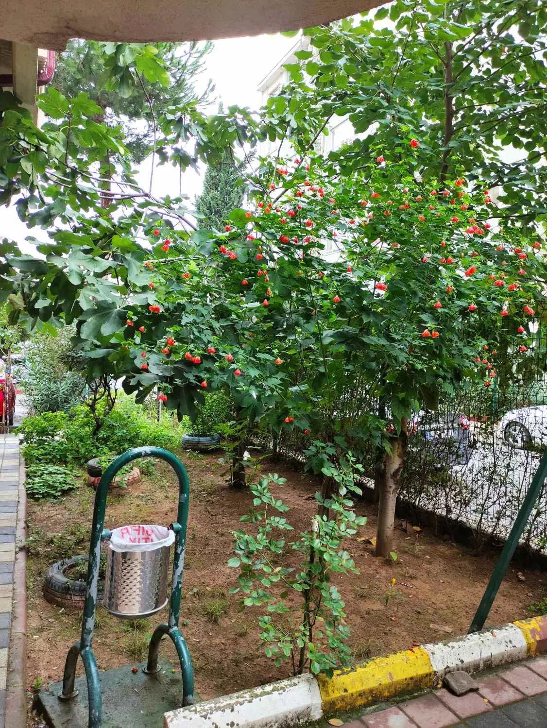 Property image 29