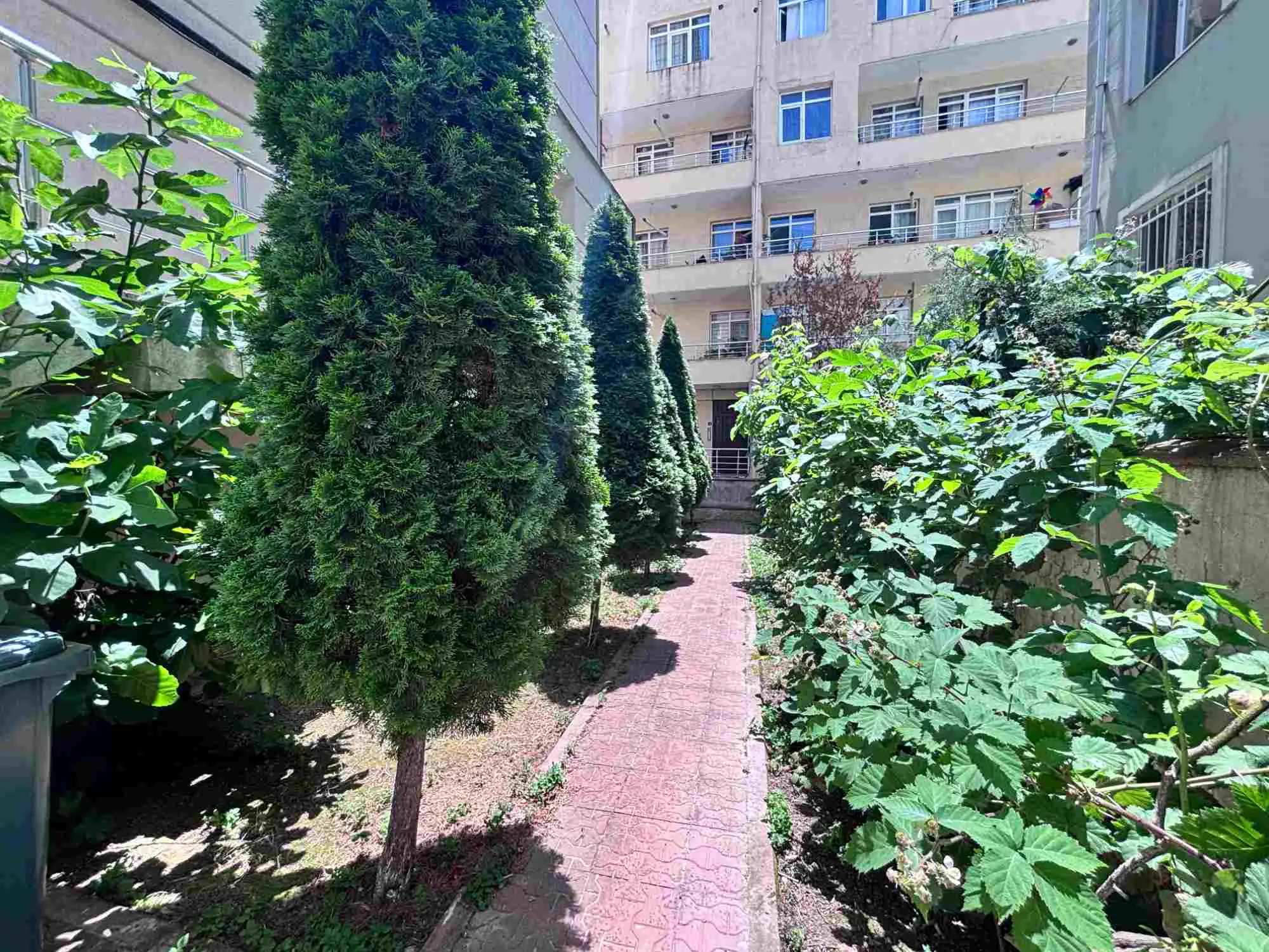 Property image 28