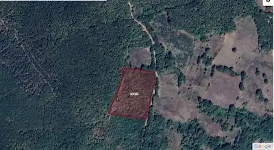 İZMİT KOCAELİ AMBARCI MAH 17948 M2 MÜSTAKİL TAPULU SATILIK TARLA