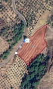 BALIKESİR HAVRAN'DA 55M YOLA CEPHE HARİKA KONUMDA TARLA