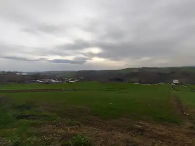 DERİNCE GEREDELİDE YOLA CEPHELİ SATILIK 3.875 M2 TARLA