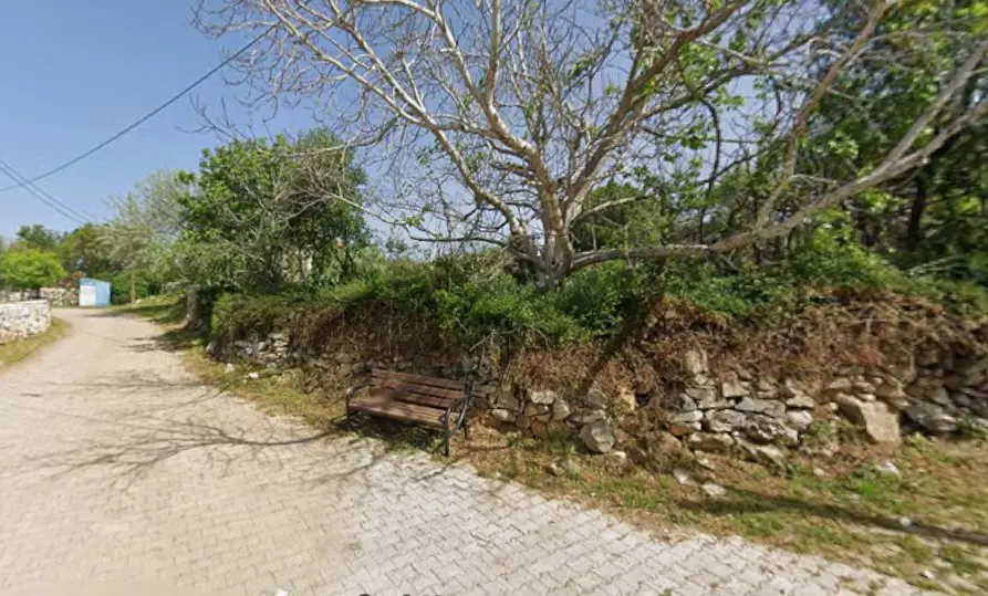 MİLAS ULAŞ’TA KÖY MERKEZINDE IÇINDE MÜSTAKIL EV VE AHIR OLAN ARSA