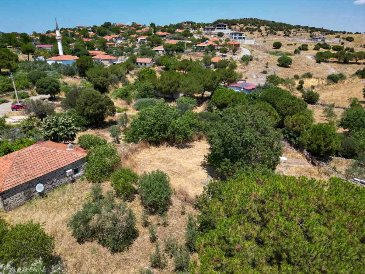 Property image 16