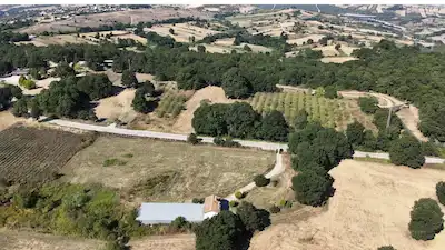 REMAX BEYAZ DALLICA DA ÇIFTLIK RUHSATI HAZIR TARLA