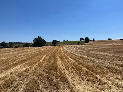 BURSA İNEGÖL KARAGÖLET MAH.6.700 M2 KADASTRO YOLA CEPHE TARLA