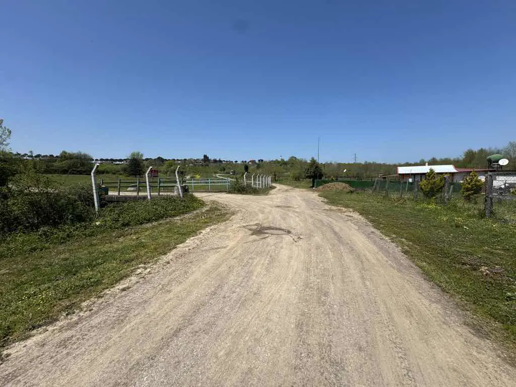 Property image 21