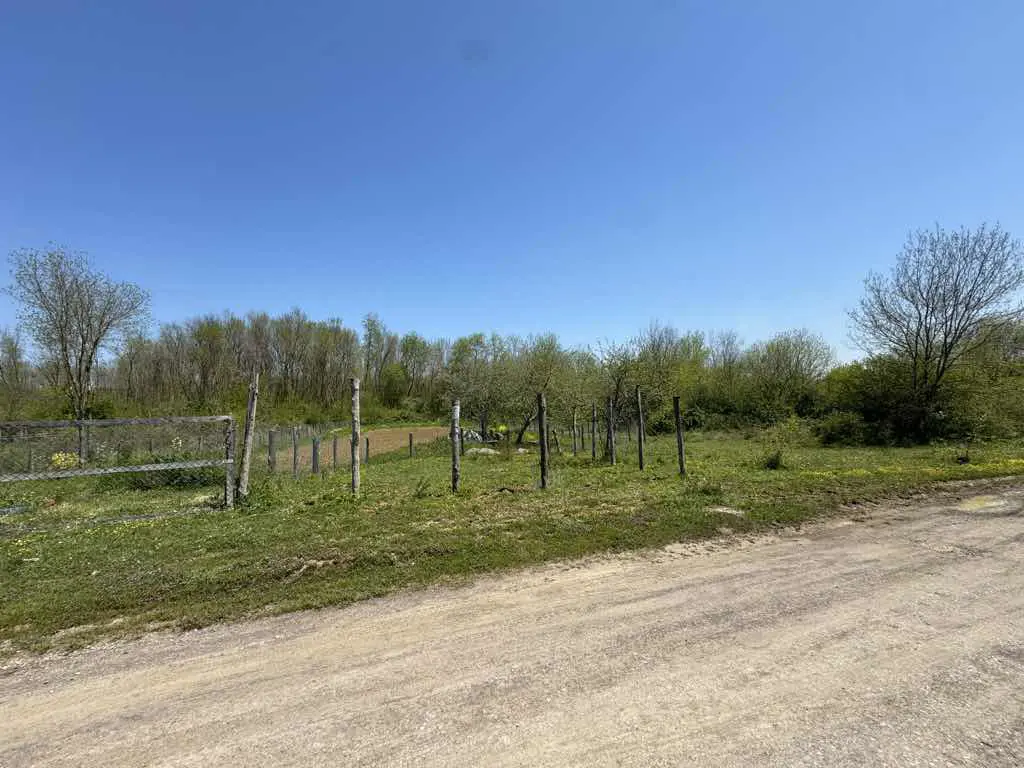 Property image 19
