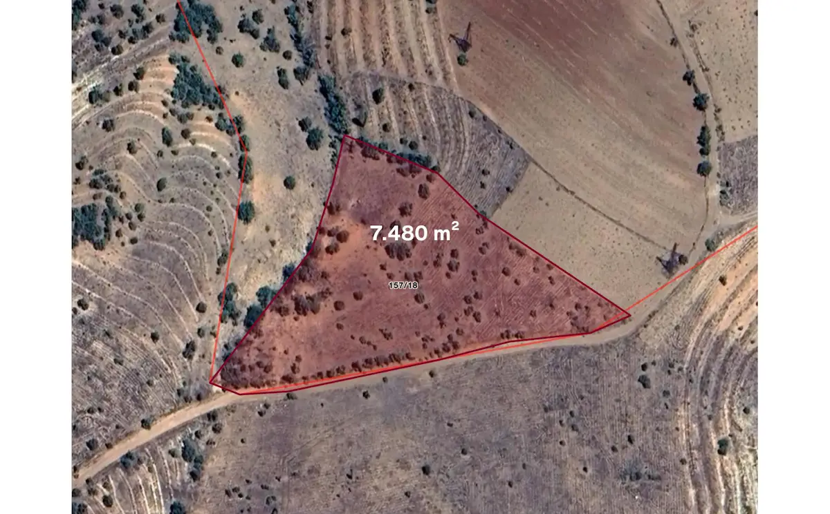 REMAX AVLU'DAN KONYA KAYAAĞZI'NDA SATILIK 7.480 M² BAĞ 
