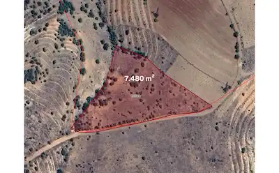 REMAX AVLU'DAN KONYA KAYAAĞZI'NDA SATILIK 7.480 M² BAĞ