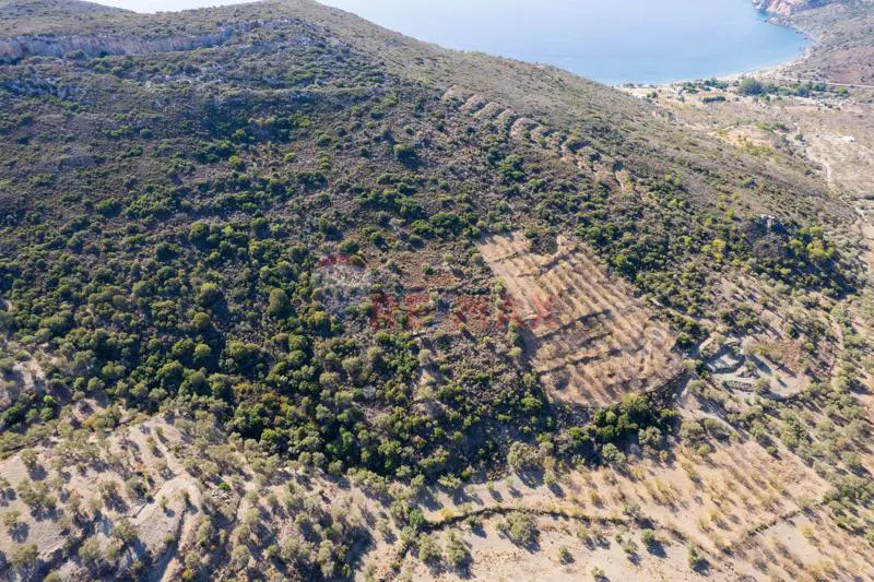 DATÇA YAZI MAH. 3.172m² SATILIK TARLA