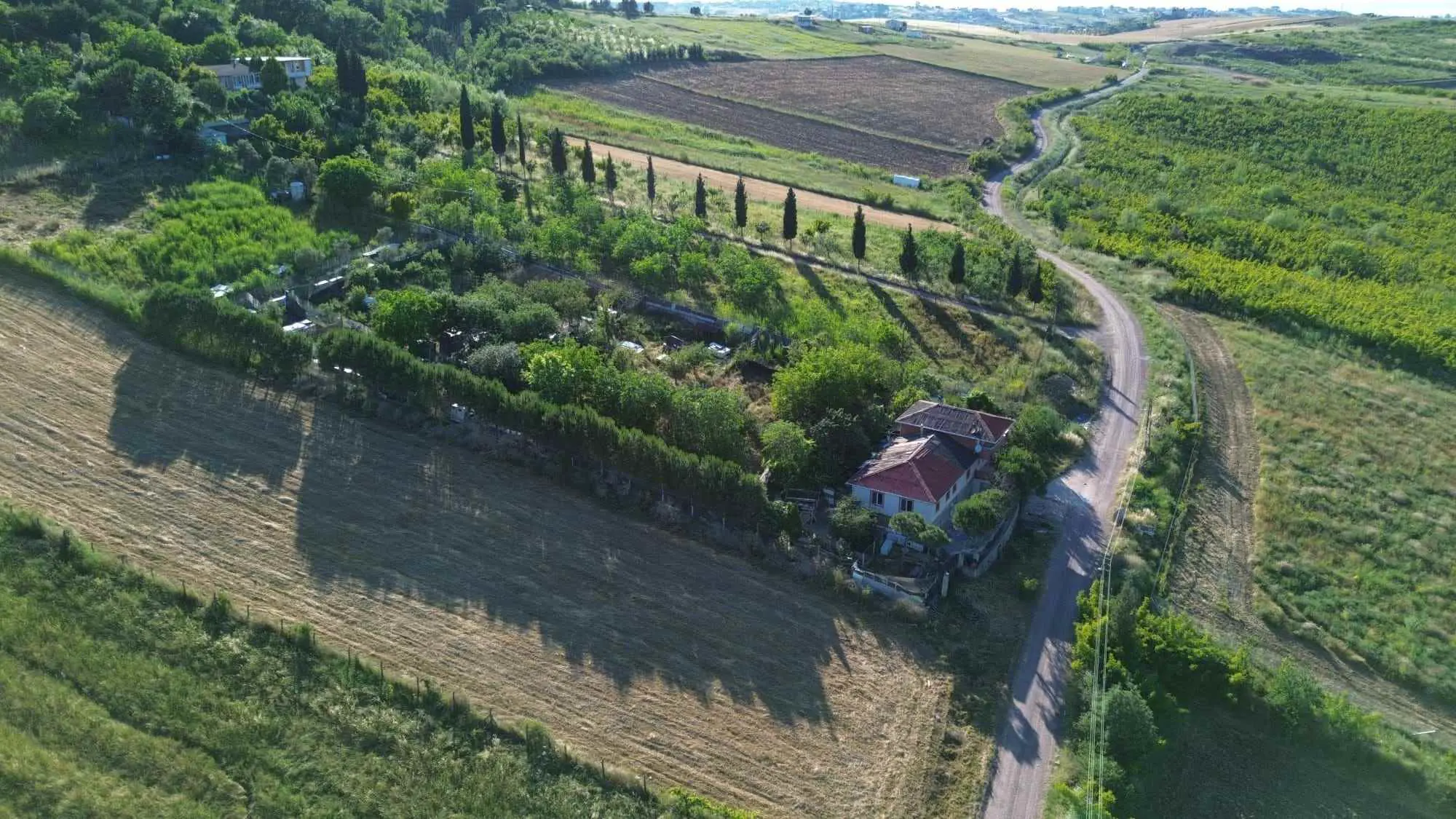 Property image 16