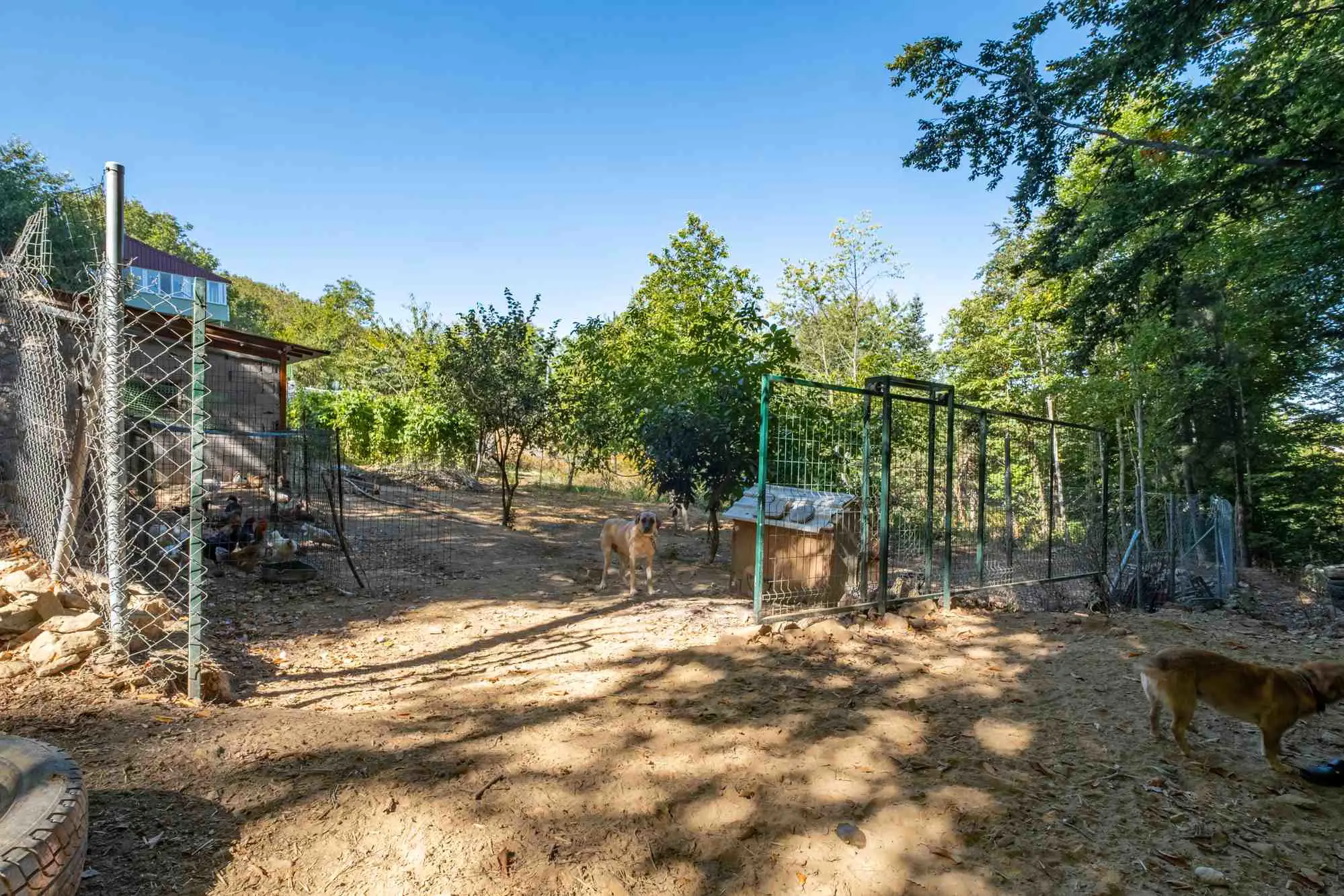 Property image 30