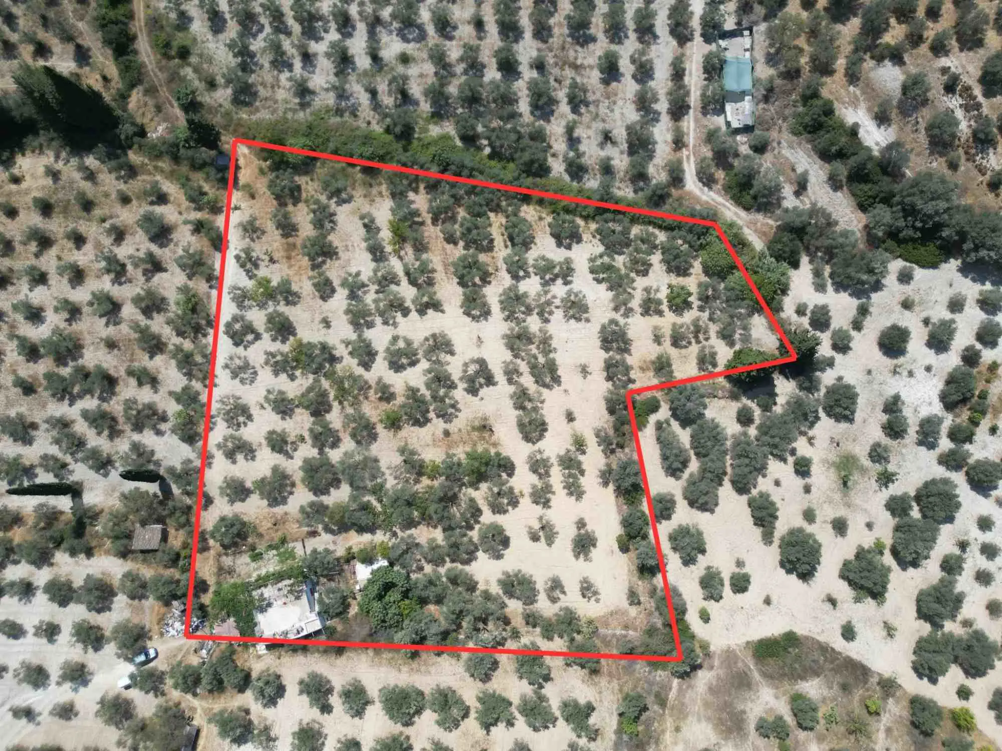 Property image 18