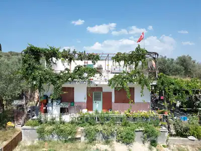 KUŞADASI'NDA SATILIK : TARLA /ZEYTİNLİK .MERKEZE ÇOK YAKIN
