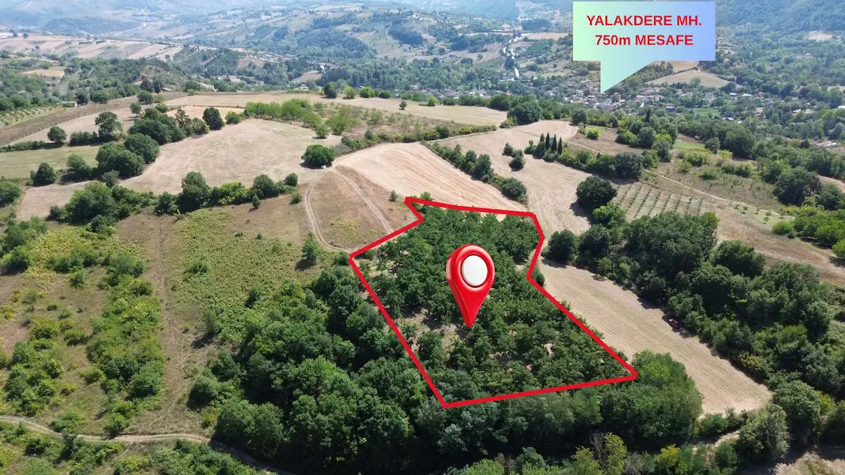 RE/MAX KANYON'DAN 4 TON VERIM VE SULAMA SISTEMLI CEVIZ BAHÇESI.