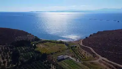KARABURUN BADEMBÜKÜNDE SATILIK TARLA