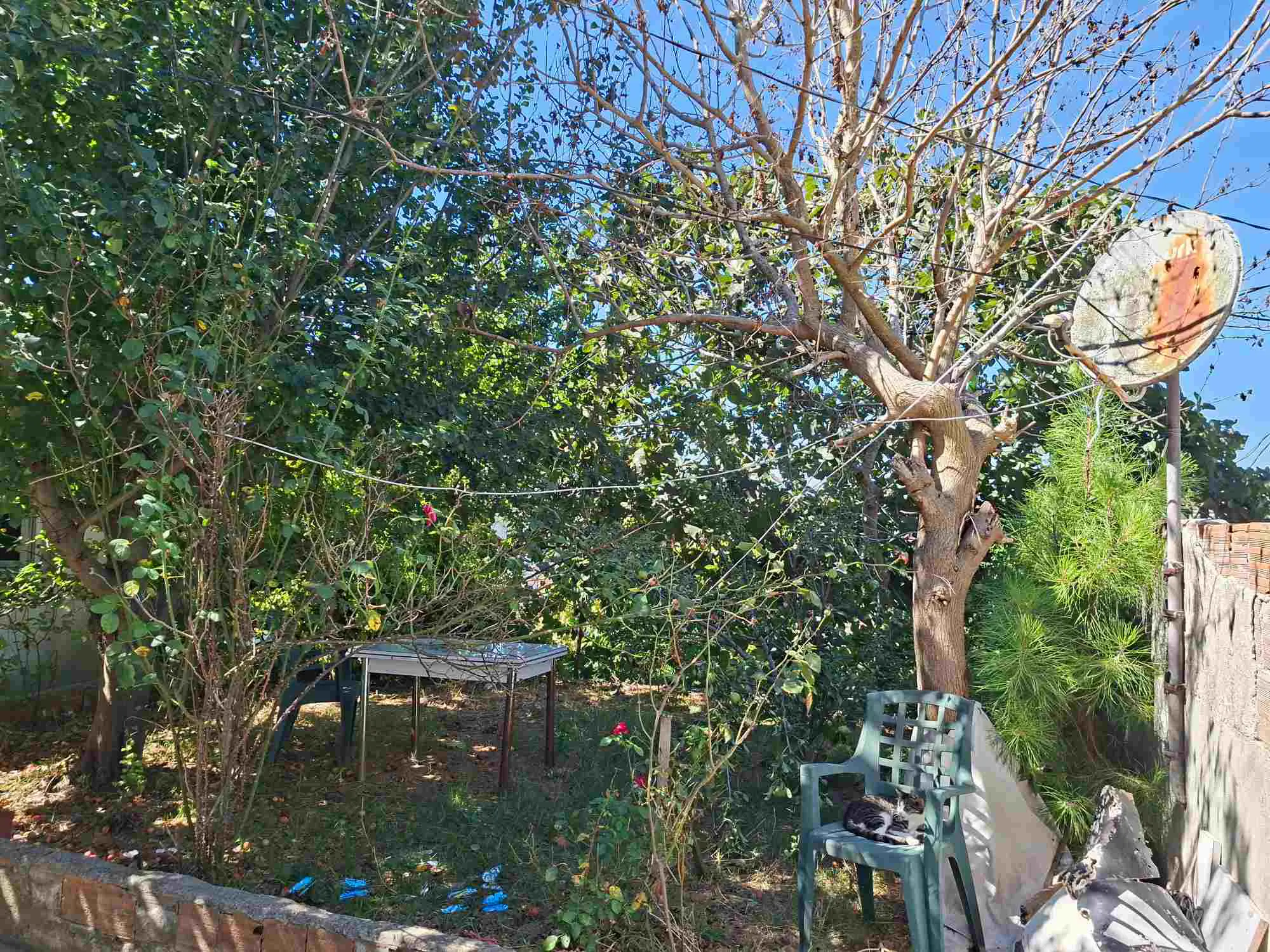 Property image 39
