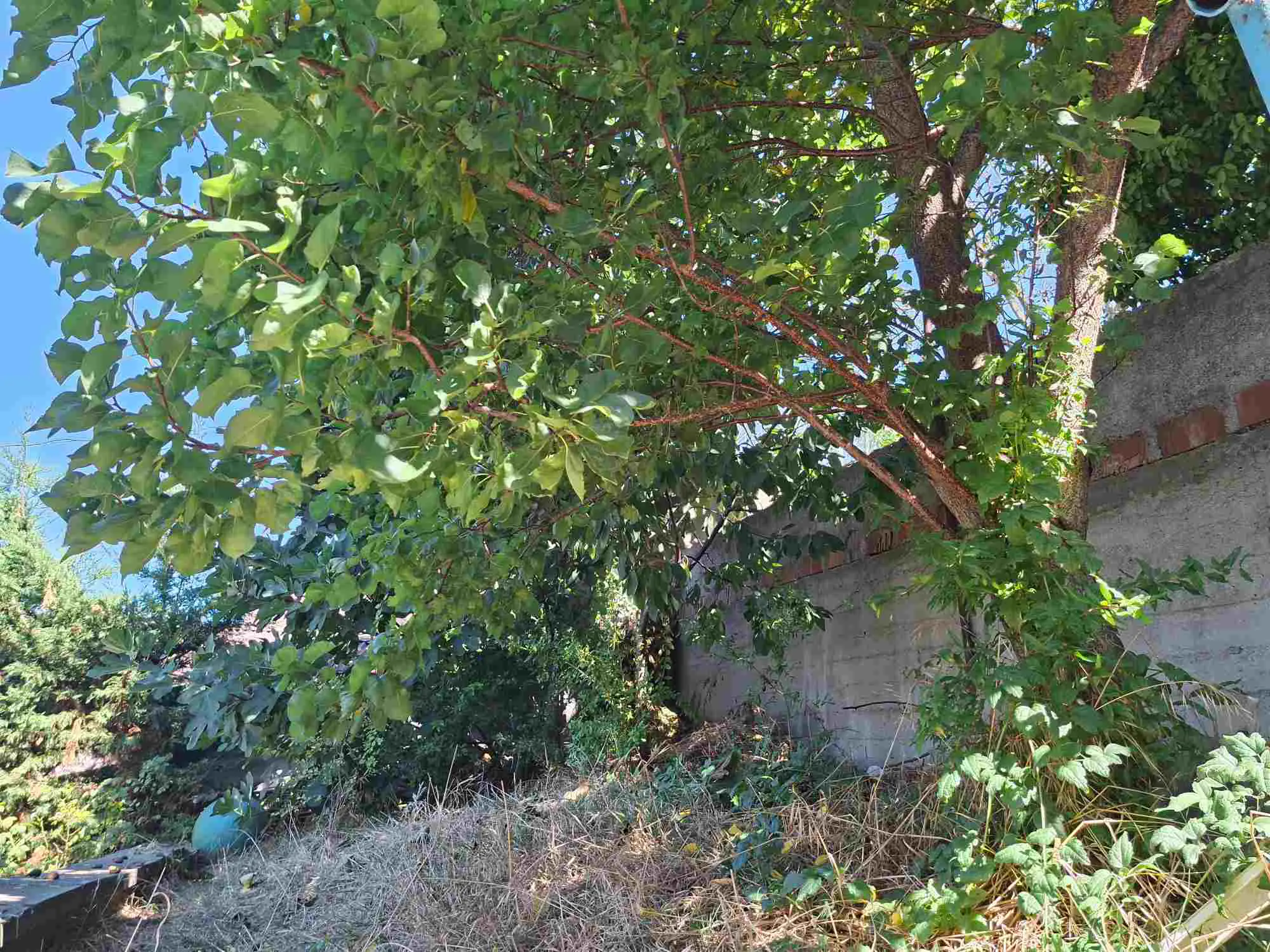 Property image 38