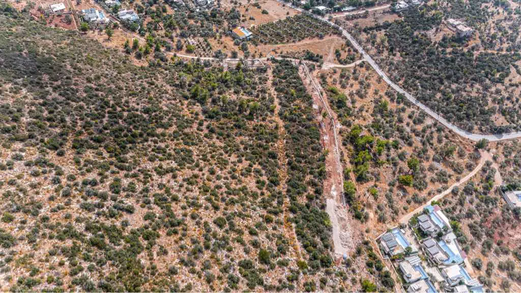 KAŞ ÜZÜMLÜ MAHALLESİN’DE SATILIK ZEYTİNLİK