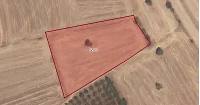 BALIKESİR KEPSUT KARAÇALTI’DA KÖYE YAKIN 4.450 M² MÜSTAKİL PARSEL TARLA (ADA 120 / PARSEL 7)