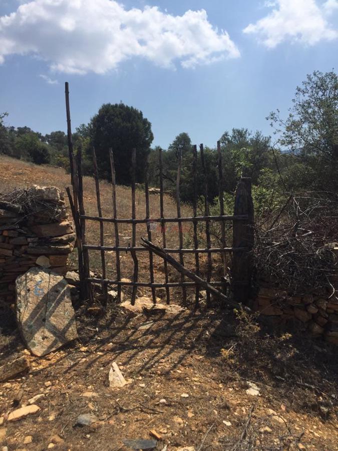 ÖDEMİŞ ÇOBANLAR KÖYÜNDE İÇİNDE MEYVE AĞAÇLARI OLAN ARSA