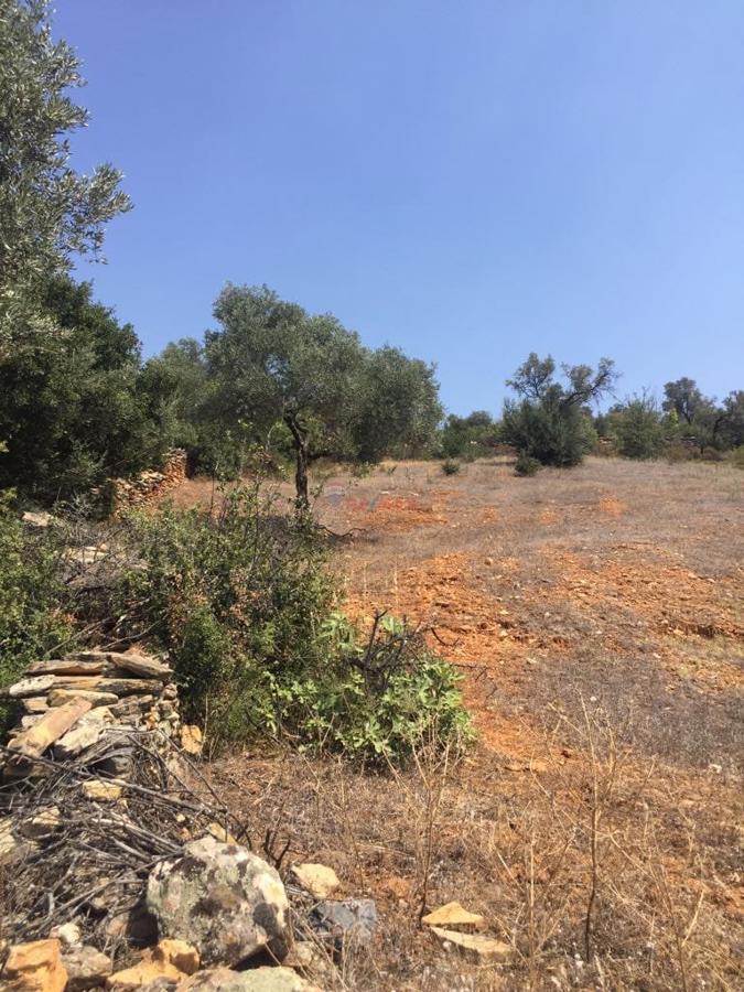 ÖDEMİŞ ÇOBANLAR KÖYÜNDE İÇİNDE MEYVE AĞAÇLARI OLAN ARSA