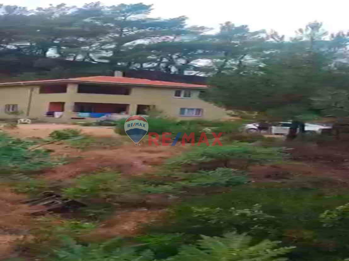 AYVACIK NUSRATLI DA IÇINDE IKI KATLI EV BULUNAN 5509M2 KAZ DAĞLARINDA TEK TAPULU YERİMİZ SATILIK