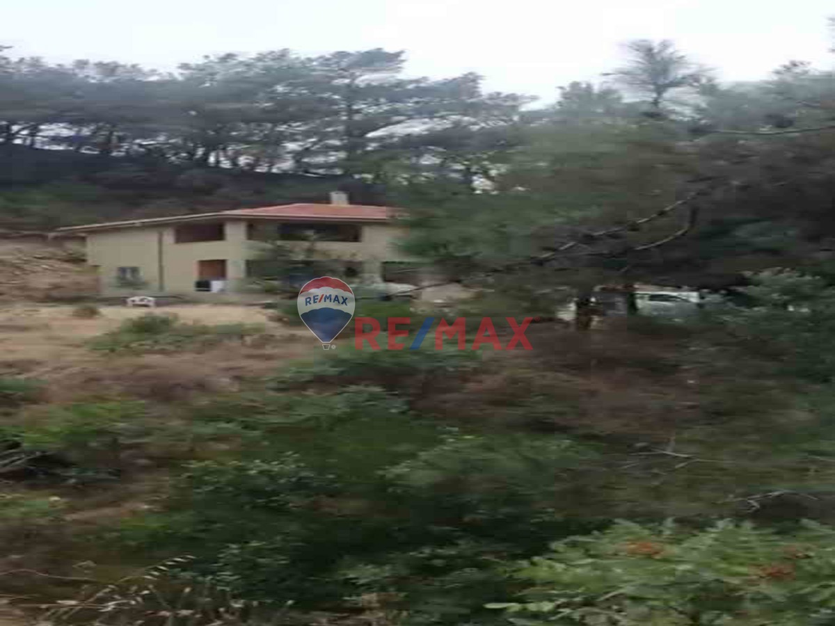 AYVACIK NUSRATLI DA IÇINDE IKI KATLI EV BULUNAN 5509M2 KAZ DAĞLARINDA TEK TAPULU YERİMİZ SATILIK