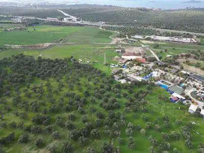 AYVALIK GİRİŞİNDE, FETHİYE'DE ANA YOLA YAKIN SATILIK ZEYTİNLİK