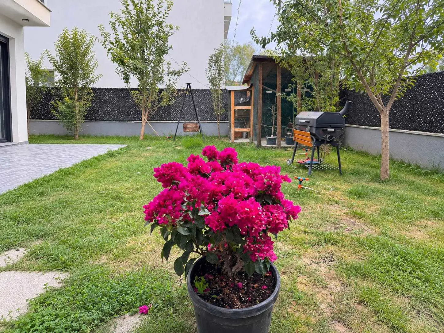 Property image 24