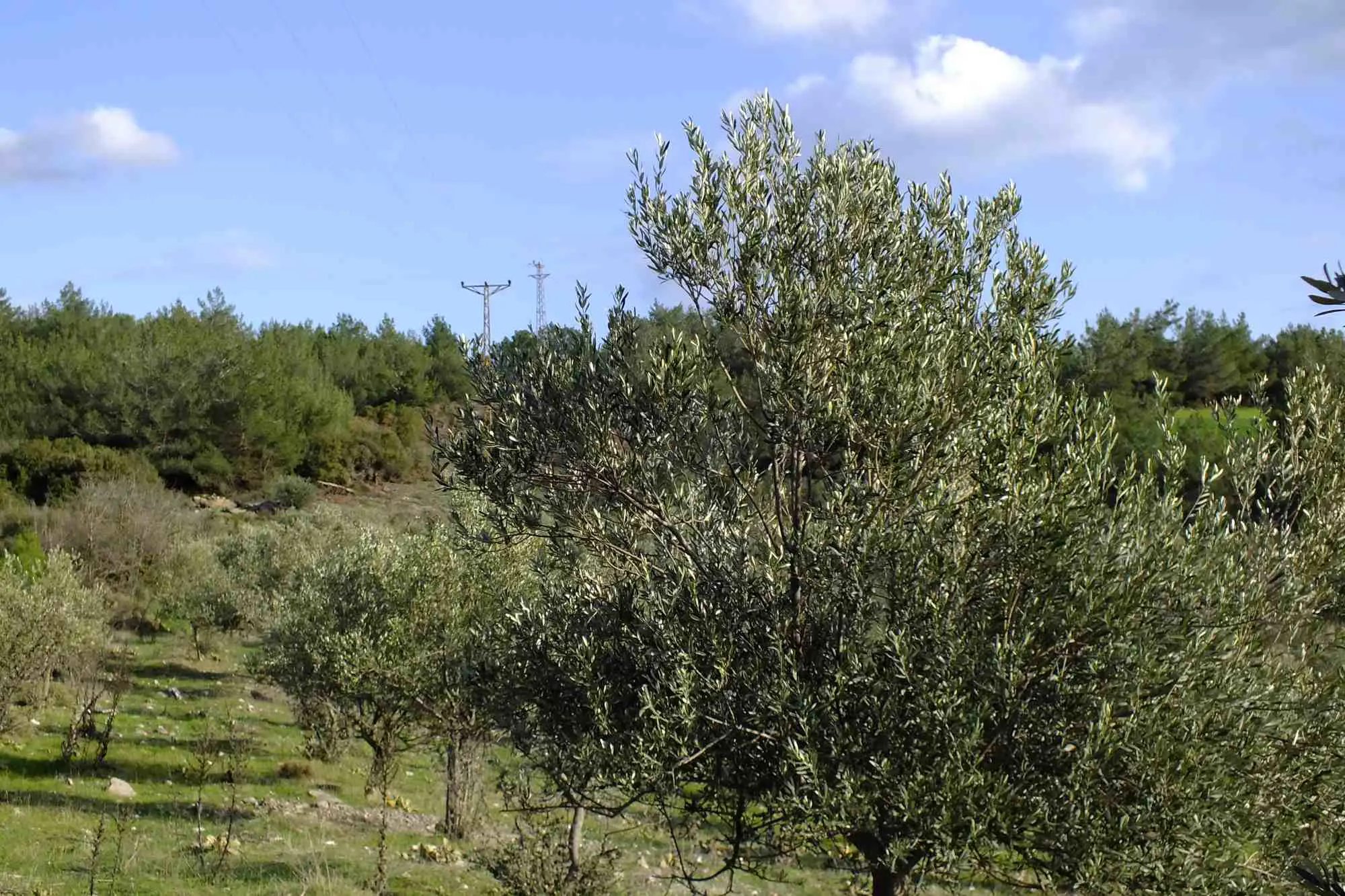 Property image 24