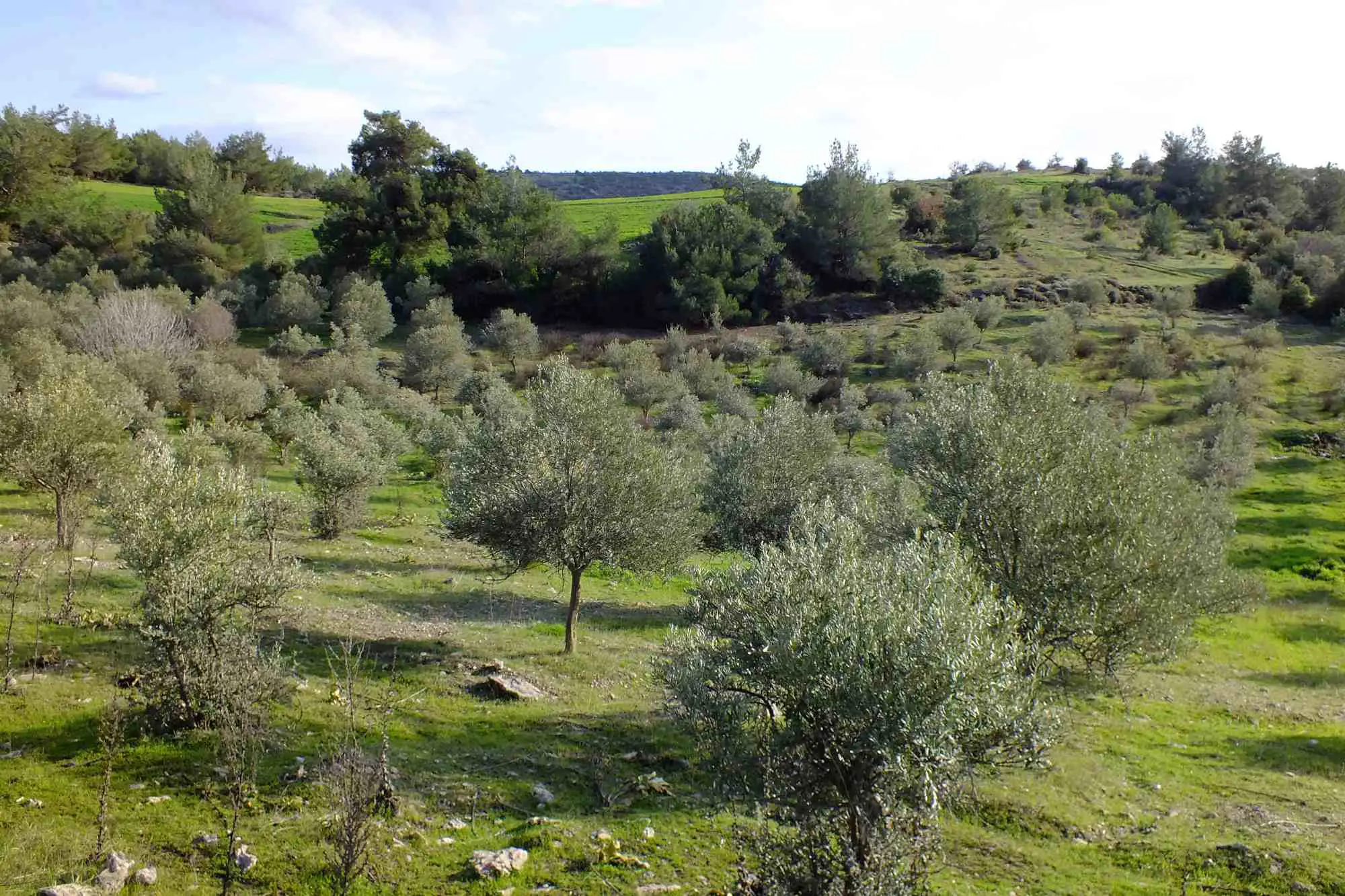 Property image 27