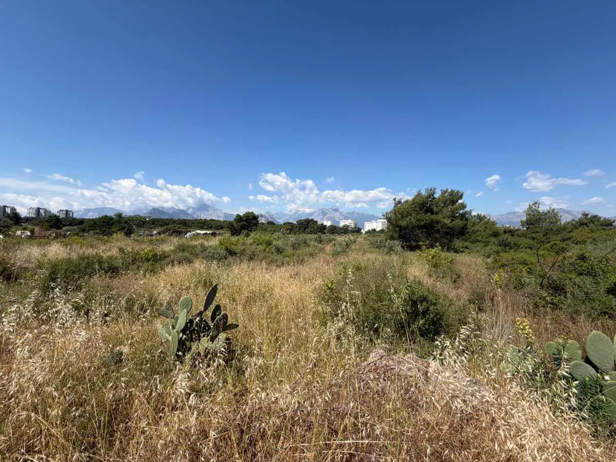 AKKUYU MAHALLESİNDE SATILIK 994 M2 HİSSELİ PARSEL